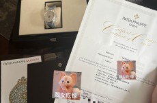 pp4947G超顯白女表