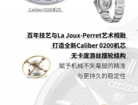 西铁城 The CITIZEN   型号：NC0200-90E