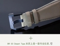 BR 03 DESERT TYPE 沙漠盘