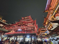 #腕表中的春天#喜提上海牌苏绣玉兰表
