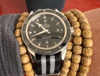 海馬300