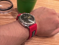 pam00685