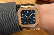 法国巴黎表友分享Patek Philippe百达翡丽CUBITUS