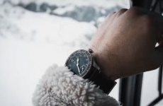 汉米尔顿卡其航空的雪山飞行