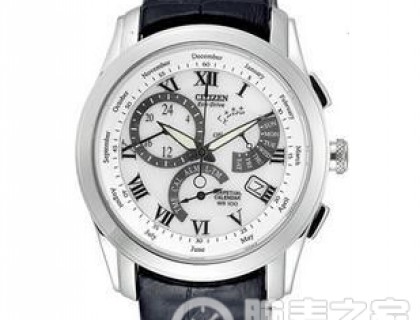 Citizen Men's BL8000-03A 