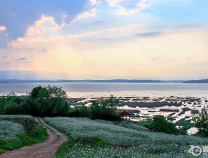 威宁草海，是中国著名三大高原湖泊（草海、滇池，青海湖）之一；