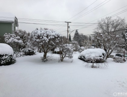 这几天的温哥华一直在下雪啊，很漂亮也很不方便哈哈哈，平时出门很多，也是这样的天气促成了今天的作业吧。