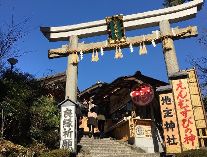 春节大阪购入蝶飞，认证加分享大阪并行购表攻略