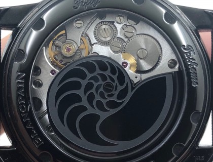 漂亮的鹦鹉螺，拿下手表可以赏析一个小时