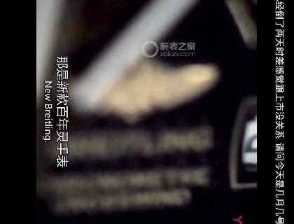 没错！还是金翅膀！