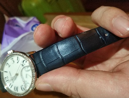 鳄鱼表带