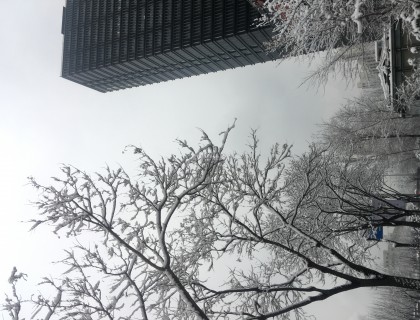 北京已经连续第三场雪了，据说下周马上第四场雪就到了，期待。。