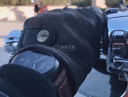 棕带黑盘机车风