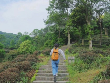 燃烧吧 我的卡路里
