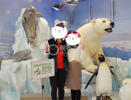 乱入两张游客照，去北海道时正好是旭山动物园开园50周年