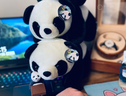 欧米茄与大熊猫，图源自表友@DH人字拖