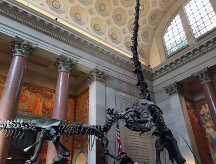 很想再去看看各地博物馆的恐龙