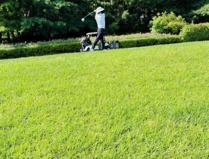 海马300的高尔夫绿茵秀🏌🏻‍♂️🌳⛳️