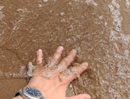 皇橡不惧大海