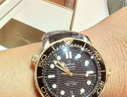 海马间金
