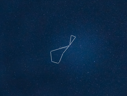 南天星空的鱼