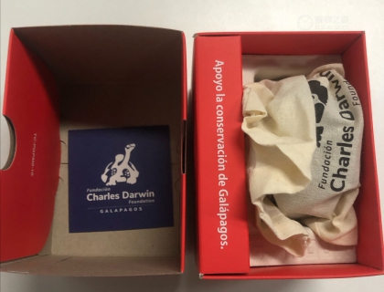 打开后依旧是蛋托内衬