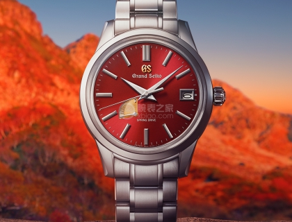 SBGA499