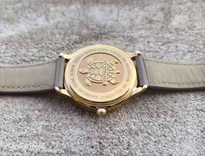 后盖小金龟