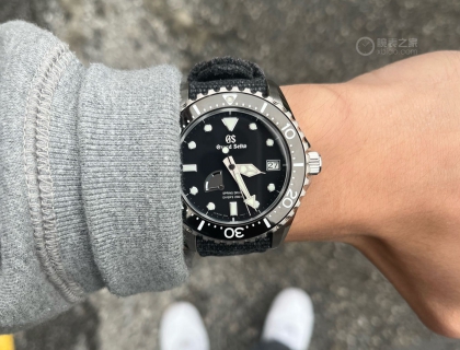 sbga229 gs的潜水款 颜值很高 佩戴舒服度中规中矩 钢带的表扣很难受