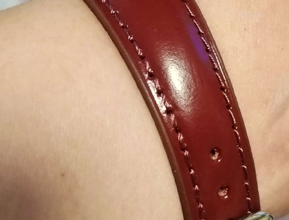 苏联的小鲍鱼