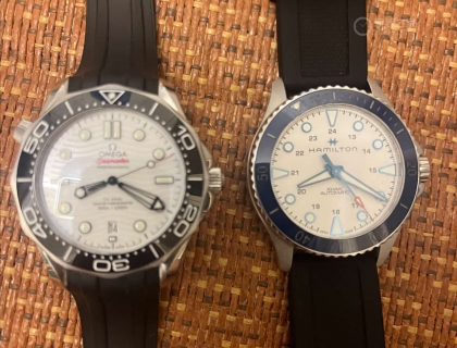 跟白海马有几分神似