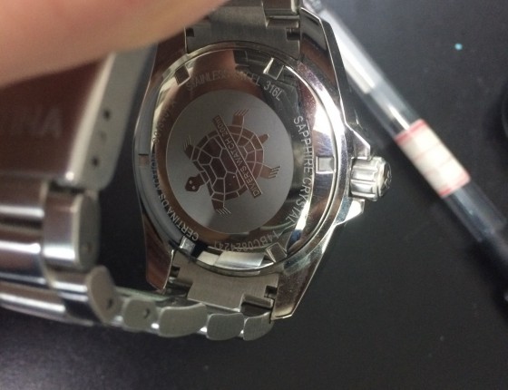 新年新人新入蓝龟