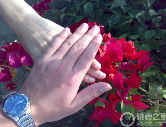 圆梦绿水鬼作业