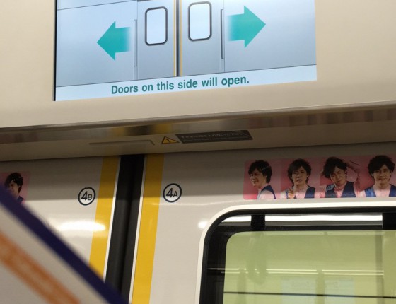 日本购入碟飞及柏涛菲诺