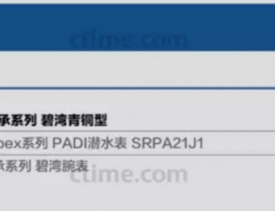 入手PADI款 潜水表