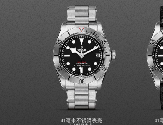 帝舵启承79730 小钢花