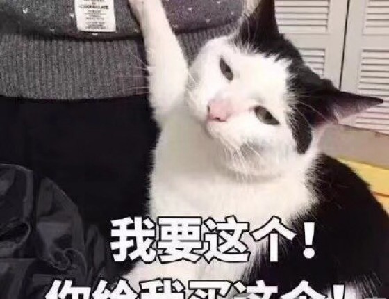 2018世界杯看着，想到领导第一块欧米茄（14年俄罗斯冬奥款）