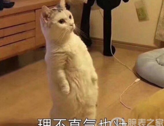 纪念人生第二块机械表，宝珀五十噚入门款作业帖