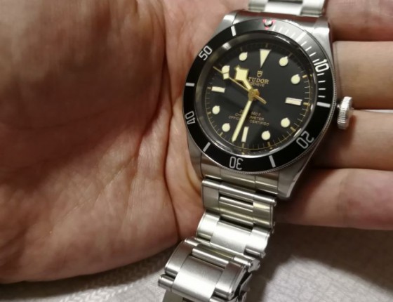 入手碧湾小黑盾
