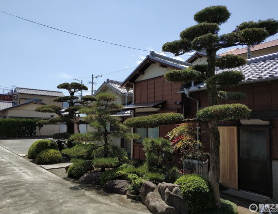 日本入手柏涛菲诺计时
