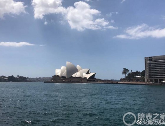 劳力士—间金镶钻迪通拿