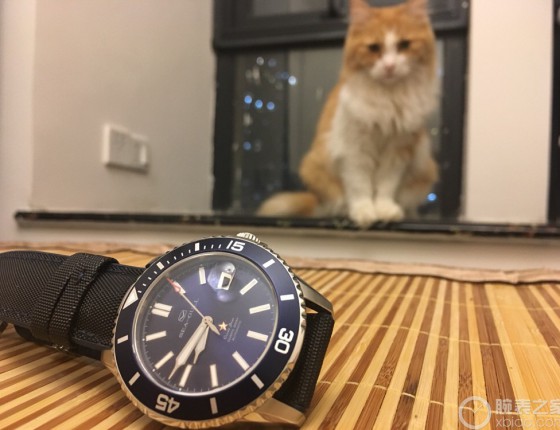 我的职场之路，海鸥一路相随（海洋之星购表作业之流水账）