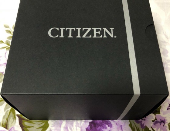 新购入的爱表：西铁城CC9017-59G
