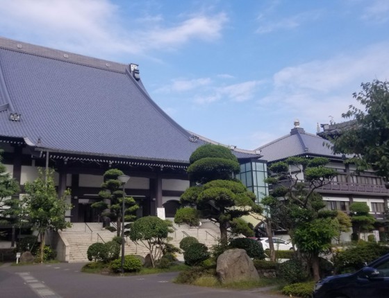 缘分到了，劳力士游艇名仕型系列16623蓝盘腕表入手作业