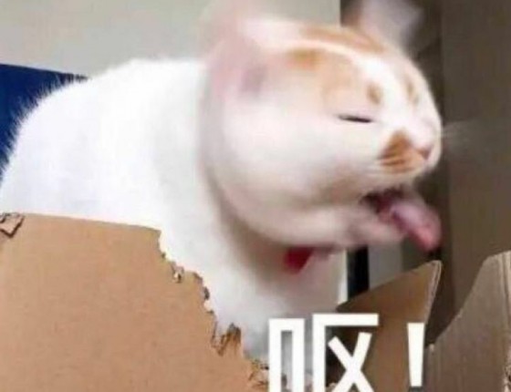 抓住国庆节的尾巴