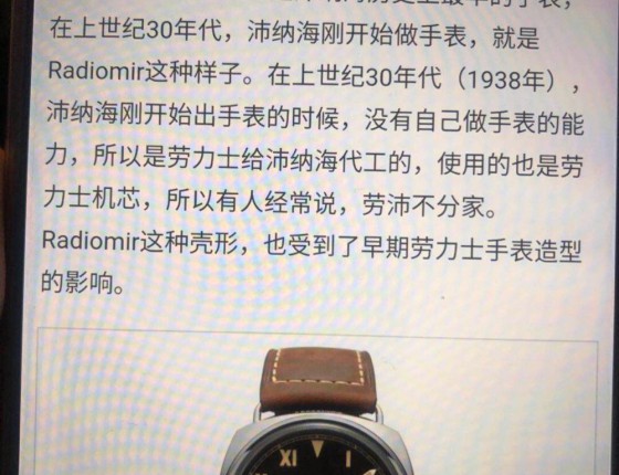 第二只表 沛纳海1359 入手认证帖