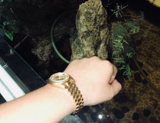 靠自己才是最真实的。入手帝舵新款41蓝色碧湾！