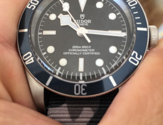 购入帝舵小蓝花 Tudor BLACK BAY m79230B