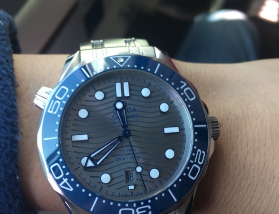 新海马灰盘
