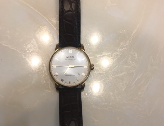陪伴了4年的老伙计-美度贝伦赛丽